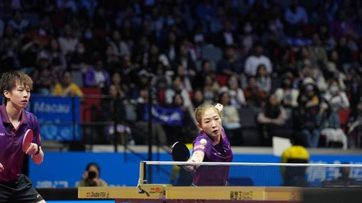 开云官网-波兰队横扫日本队，林高远高光表现